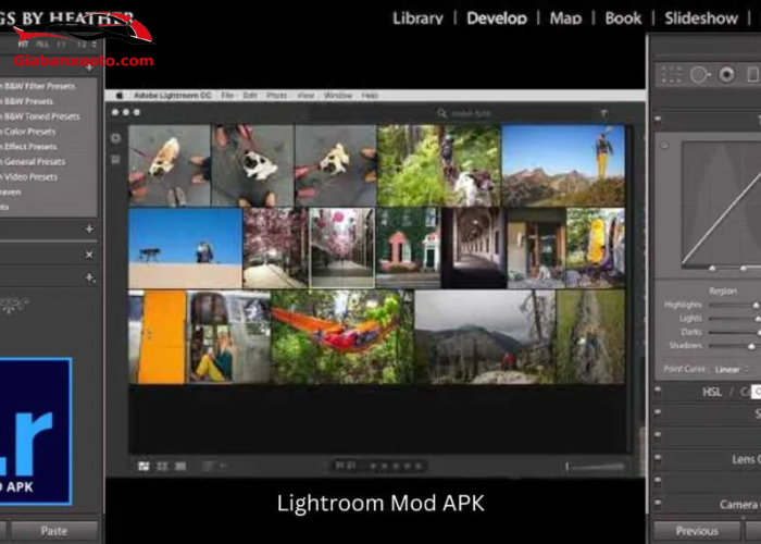Hướng dẫn nhận tài khoản từ tặng tài khoản Lightroom full màu miễn phí